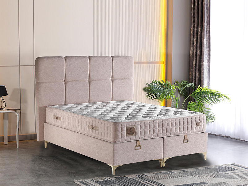 2026_01_21_img_061272-mekan-jpg