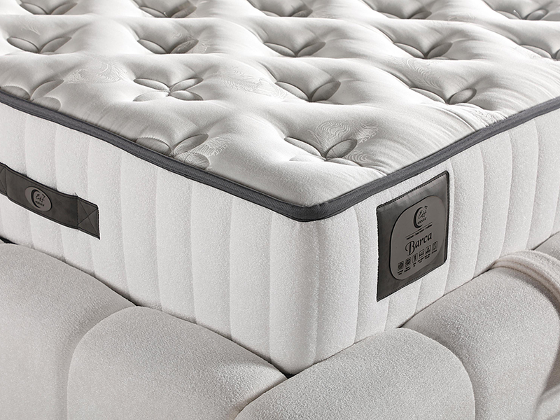 2026_01_21_img_061407-jpg