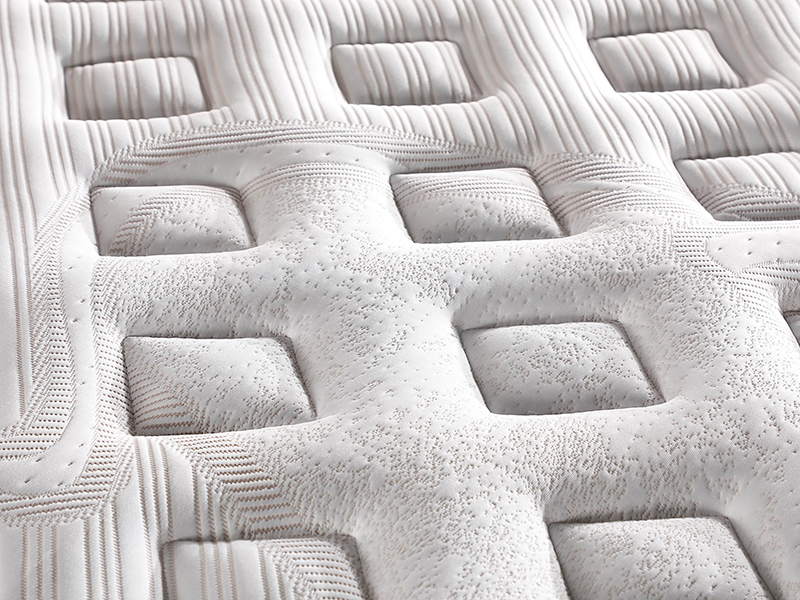 2026_01_21_img_061279-jpg