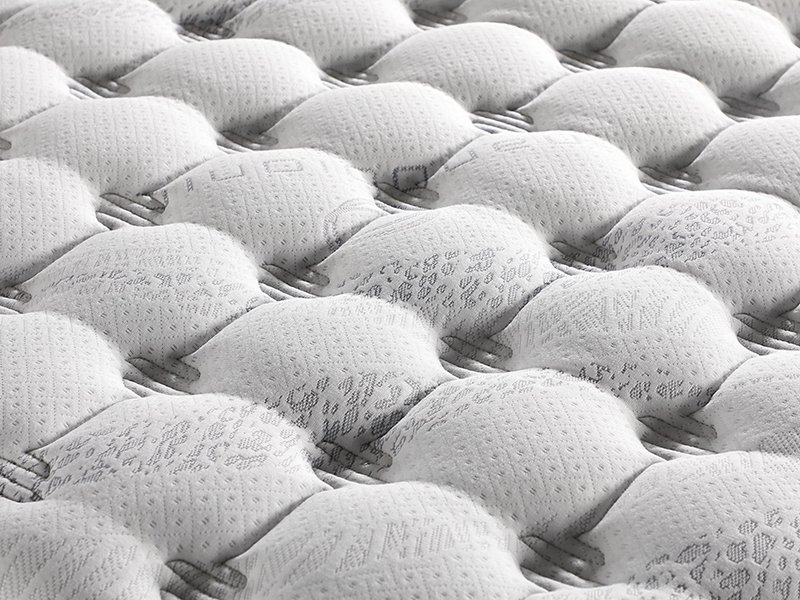 2026_01_21_img_061382-jpg