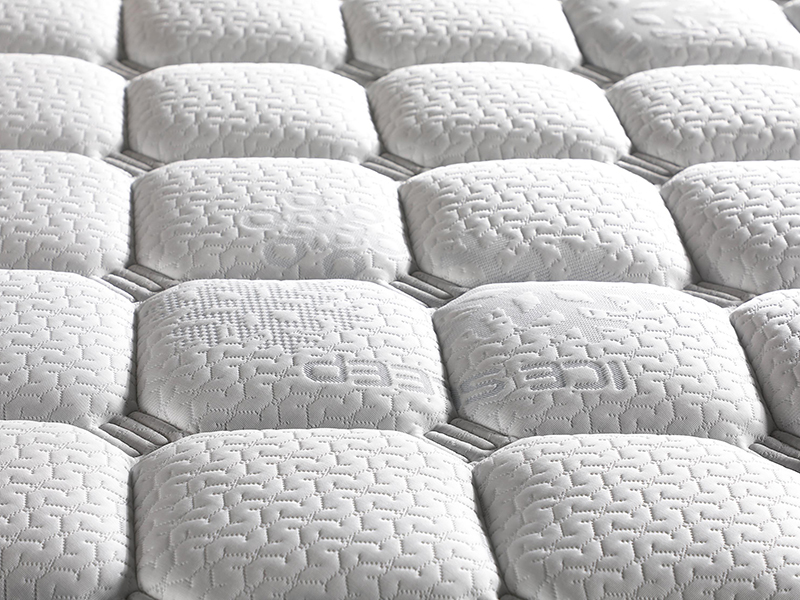 2026_01_21_img_061429-jpg