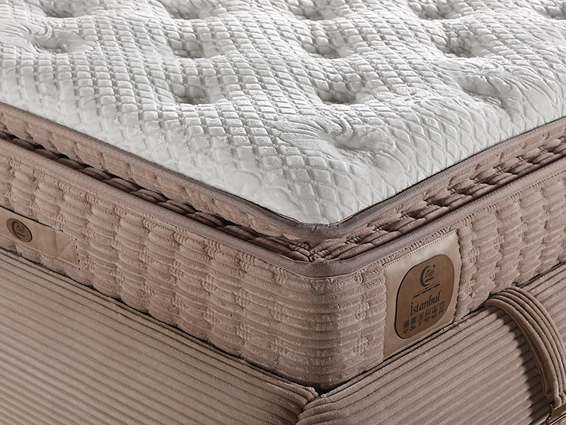 2026_01_21_img_061391-jpg