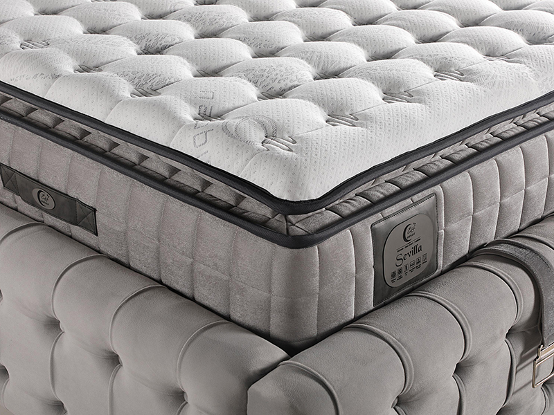 2026_01_21_img_061381-jpg