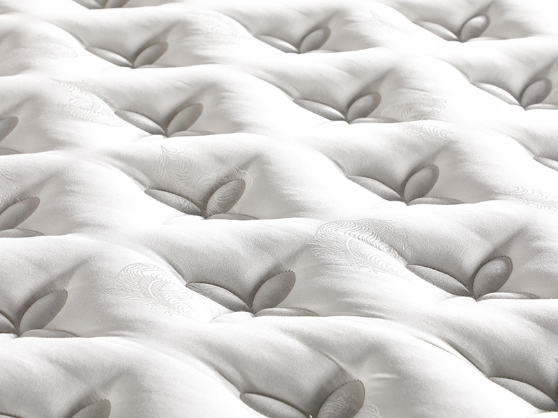 2026_01_21_img_061410-jpg