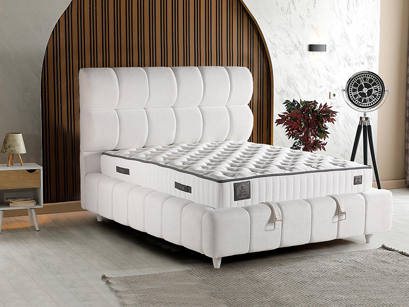 2026_01_21_img_061404-mekan-tif-jpg