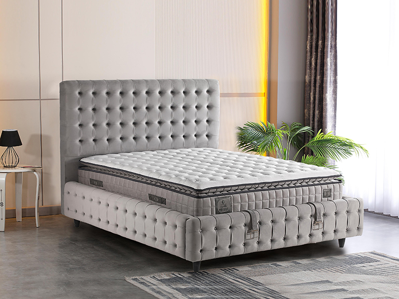 2026_01_21_img_061379-mekan-tif-jpg