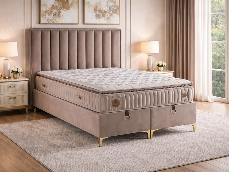 freepik__enhance__28743-jpg