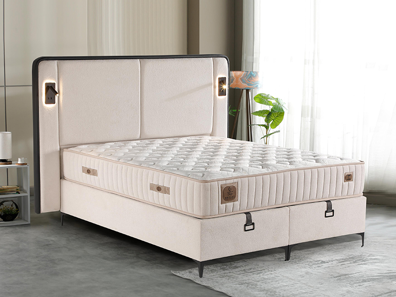 2026_01_21_img_061306-mekan-tif-jpg