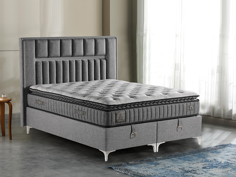 2026_01_21_img_061363-mekan-tif-jpg