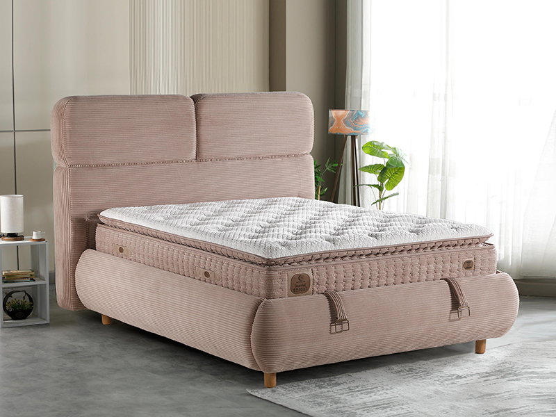 2026_01_21_img_061389-mekan-jpg