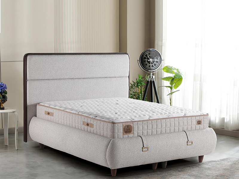 2026_01_21_img_061396-mekan-tif-jpg